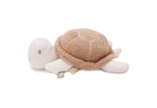 Schildpad